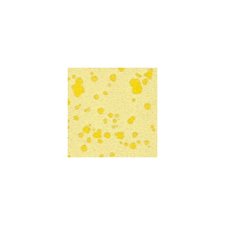 Botz9532 Lemon sorbet