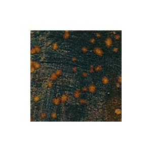 Botz9533 Ironstone