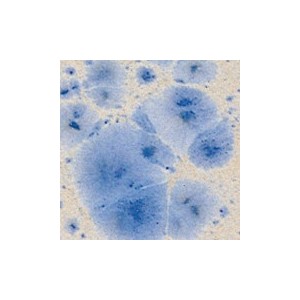 Botz9535 May rain