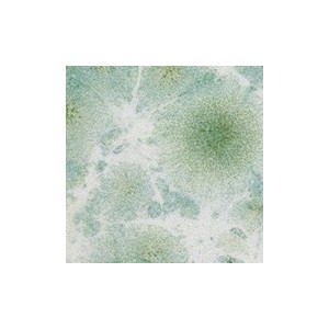 Botz9540 Morning dew