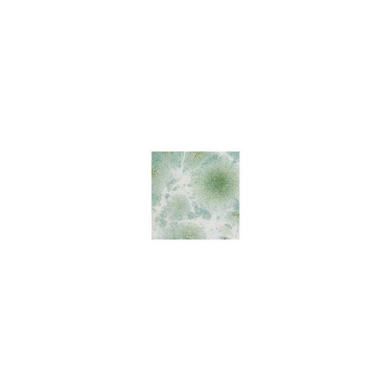 Botz9540 Morning dew