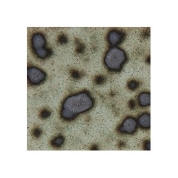 Botz9571 Speckled stone brown