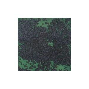Botz9577 Reptile