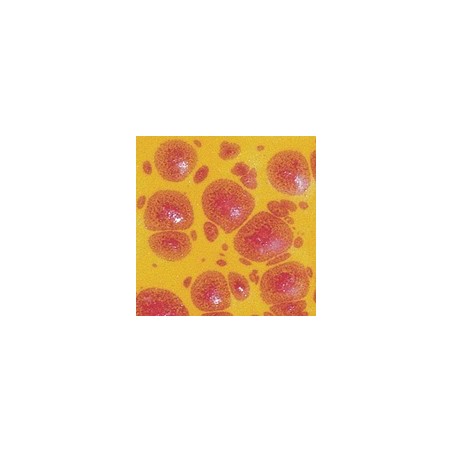Botz9592 Summer aster