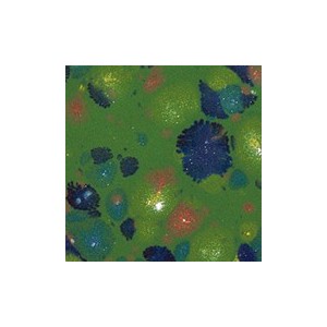 Botz9595 Forest meadow