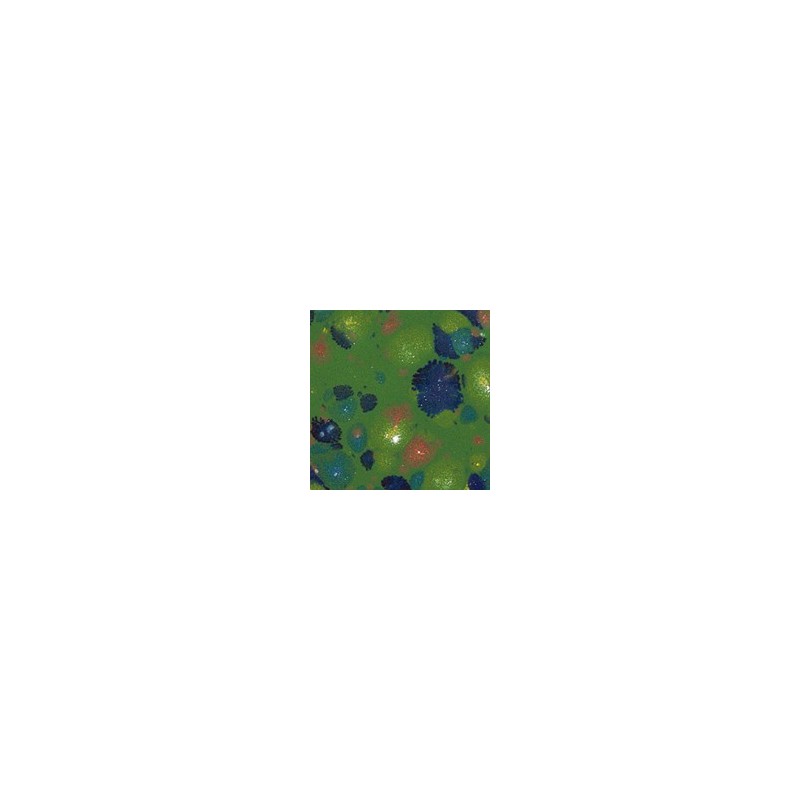 Botz9595 Forest meadow