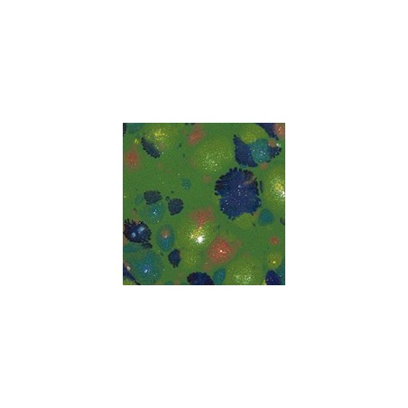 Botz9595 Forest meadow
