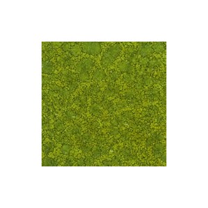 Botz9597 Snake green