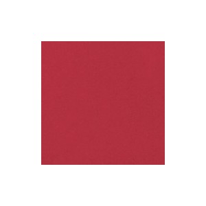 Botz9602 Fire red