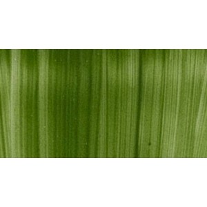 CPB 136 - Verde Prato