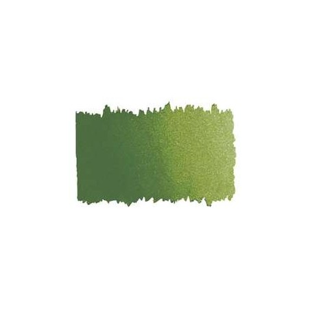 554 - Verde Oliva Giallastro