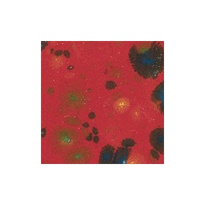 Botz9609 Tropical