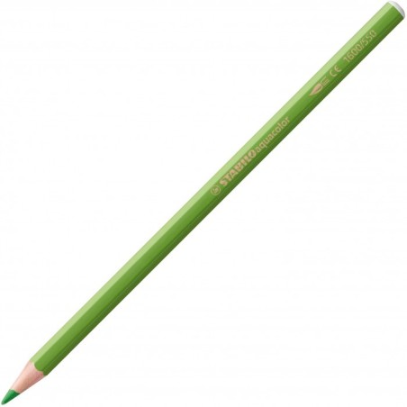 550 Verde Maggio - Aquacolor Stabilo