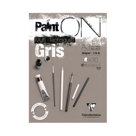 Paint On Gris Tecnica Mista 250g/mq - CLAIREFONTAINE