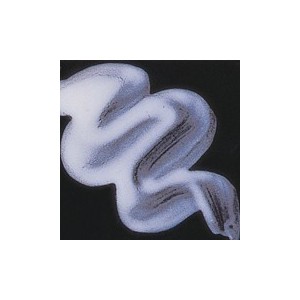Botz4009 Colore Bianco Alta temperatura