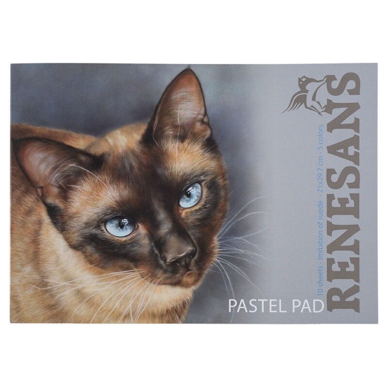 PASETL PAD 10 fogli 5 colori - RENESANS