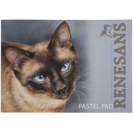 PASETL PAD 10 fogli 5 colori - RENESANS