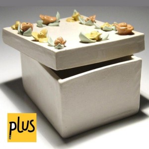 CW Plus Terracotta