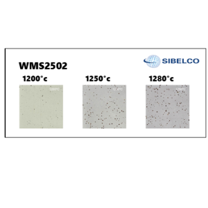 WMS2502