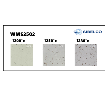 WMS2502