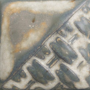 SW-197 Fossil rock