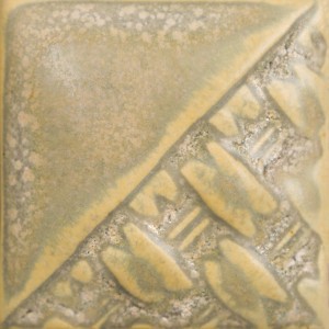 SW-197 Fossil rock