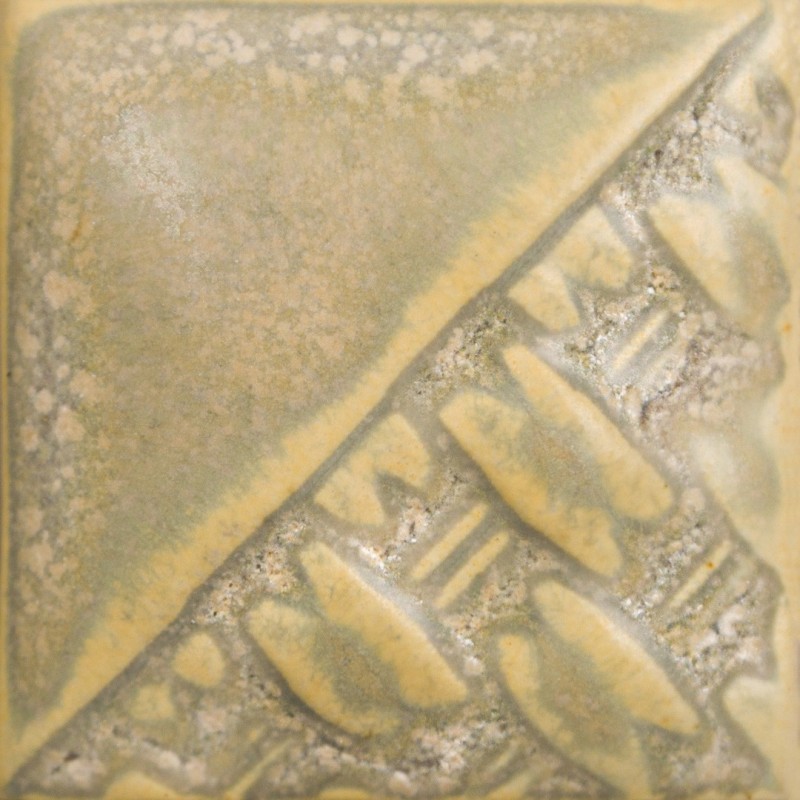 SW-197 Fossil rock