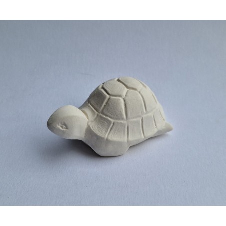 KF024 Tartaruga piccola cm.7,5