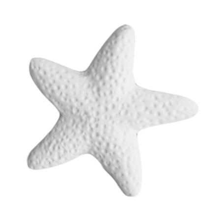 Stella marina cm.5,5  ( conf. 6 pz)