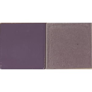 EML0903 Viola