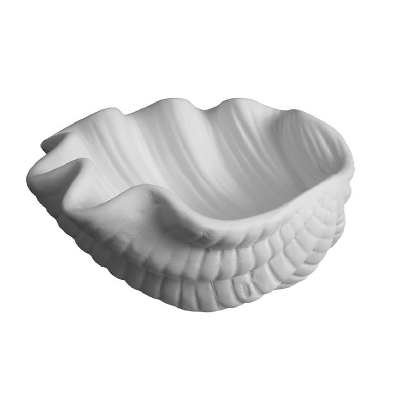 K1183 Conchiglia cm.13