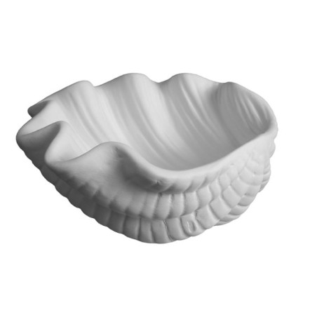 K1183 Conchiglia cm.13