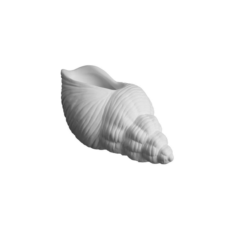 K1189 Conchiglia  cm.20