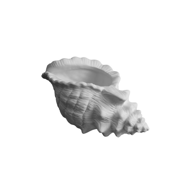 K1190 Conchiglia  cm.19