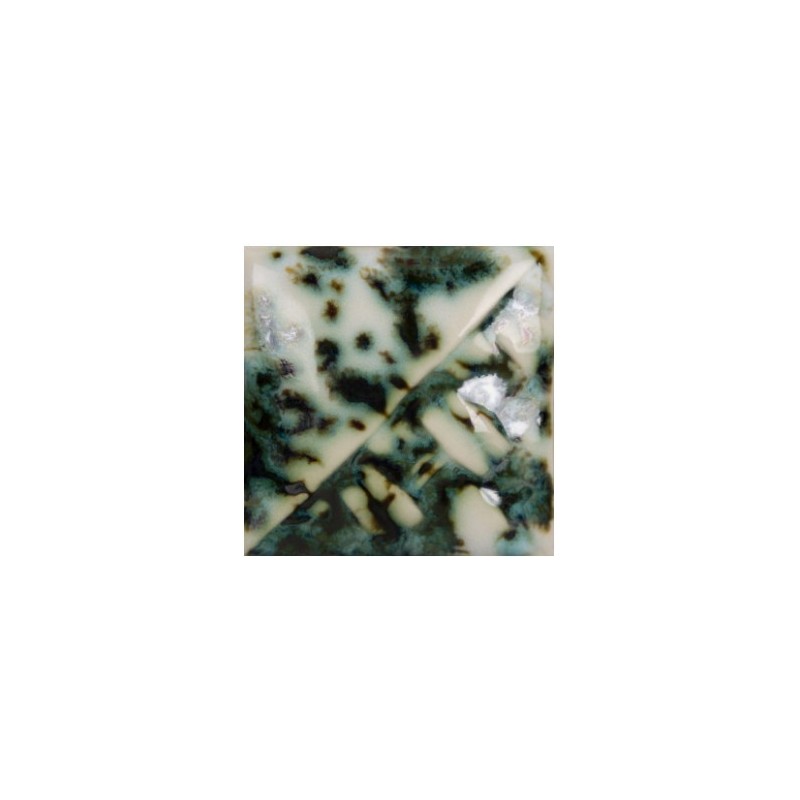 cono 6