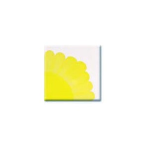 HC428 Bright Yellow
