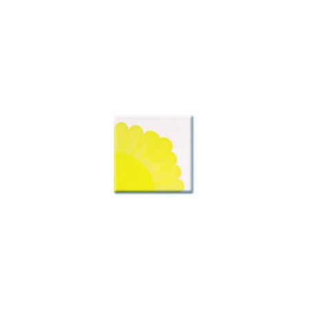 HC428 Bright Yellow