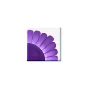 HC438 Violet
