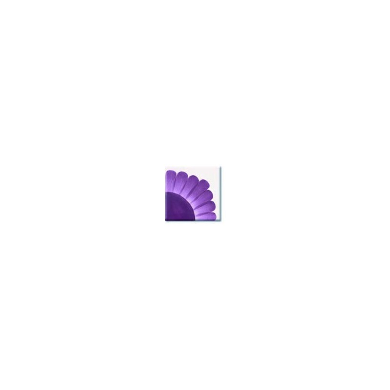 HC438 Violet