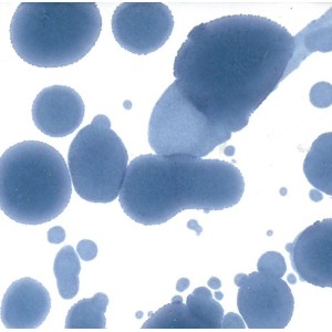 crs4021/4 Reagente Blu