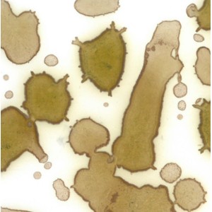 crs4007/16 Reagente grigio crs4007/16 Reagente grigio