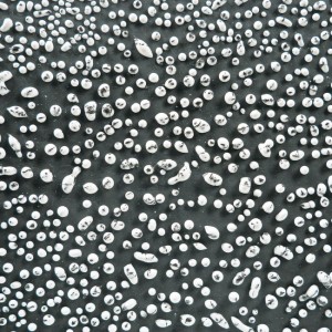 CR12 Speckled white