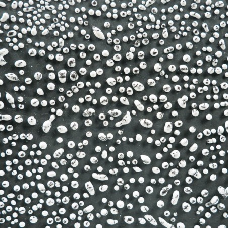 CR12 Speckled white