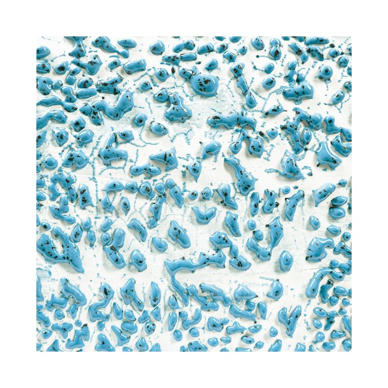 CR22 Speckled Teal