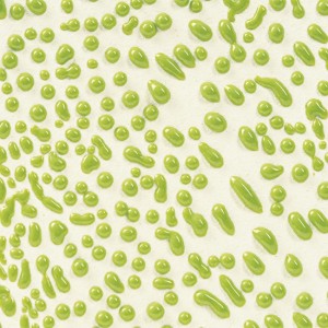 CR41 Lime
