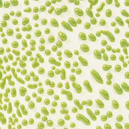CR41 Lime