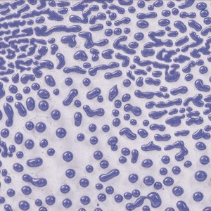 CR54 Purple