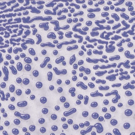 CR54 Purple