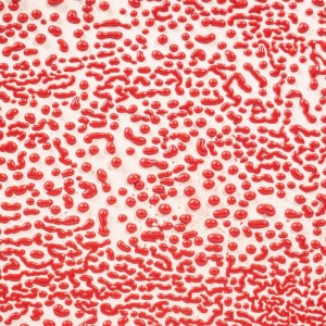 CR58 Red