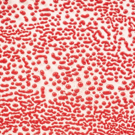 CR58 Red